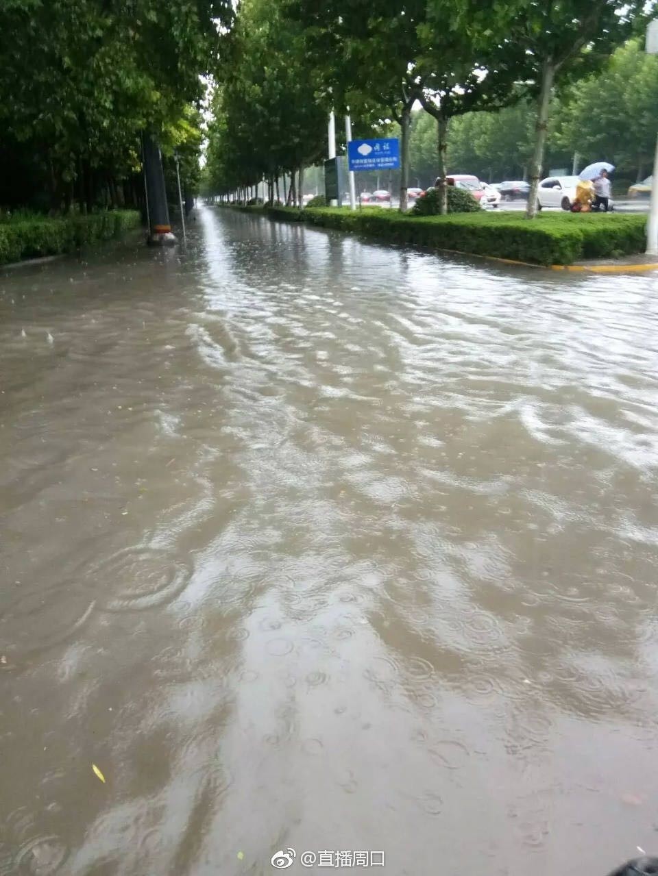 這回是真的!100條預警提醒你,最強暴雨來襲!河南這21地今晚要注意!