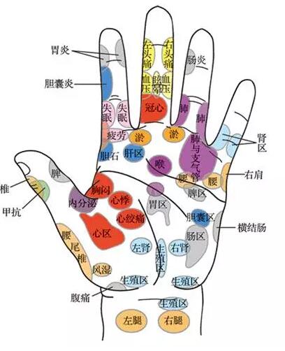 中医手诊:观察手掌就知道你的健康!