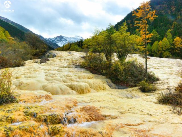 夏天看水去黄龙,一片彩池映雪山