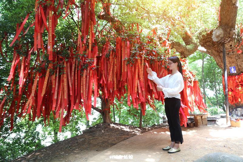 黄婷诸暨女神图片