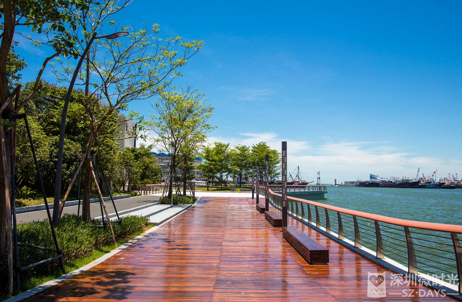 6km无敌海景!这段全新的海滨栈道,即将成为深圳最新拍照圣地!