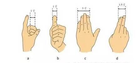 手指三寸定位图图片