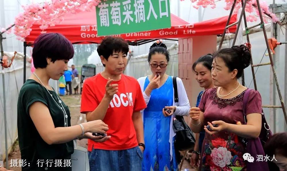 泗水县泉林镇的女人图片