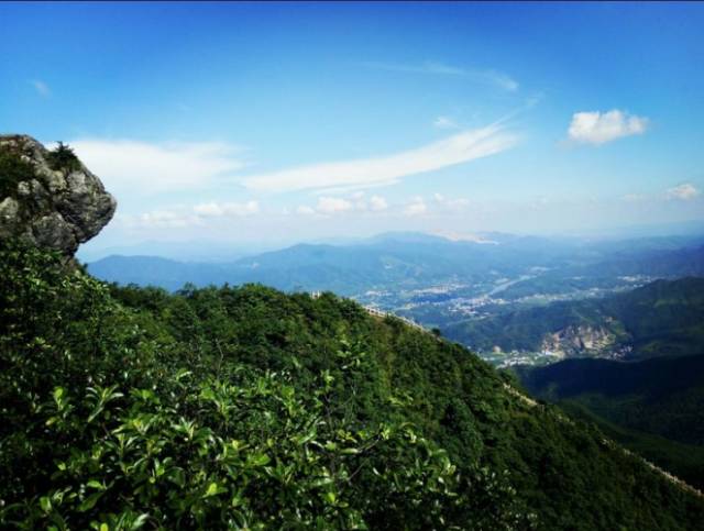 相看两不厌唯有龙华山