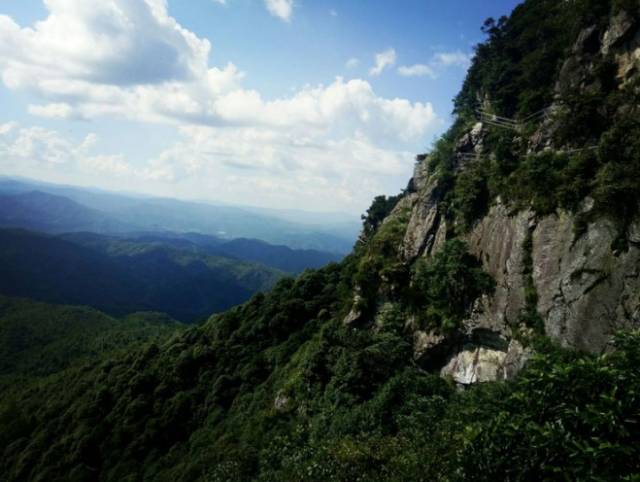 相看两不厌唯有龙华山