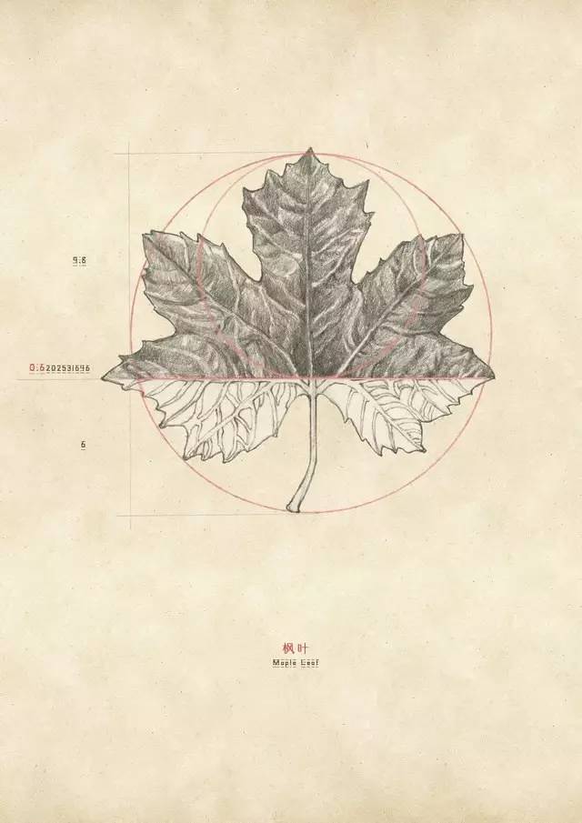 想要畫出完美的畫面構圖,這個黃金分割比百試百靈