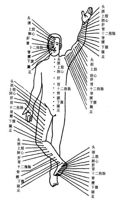 脚全息图解大全高清图片