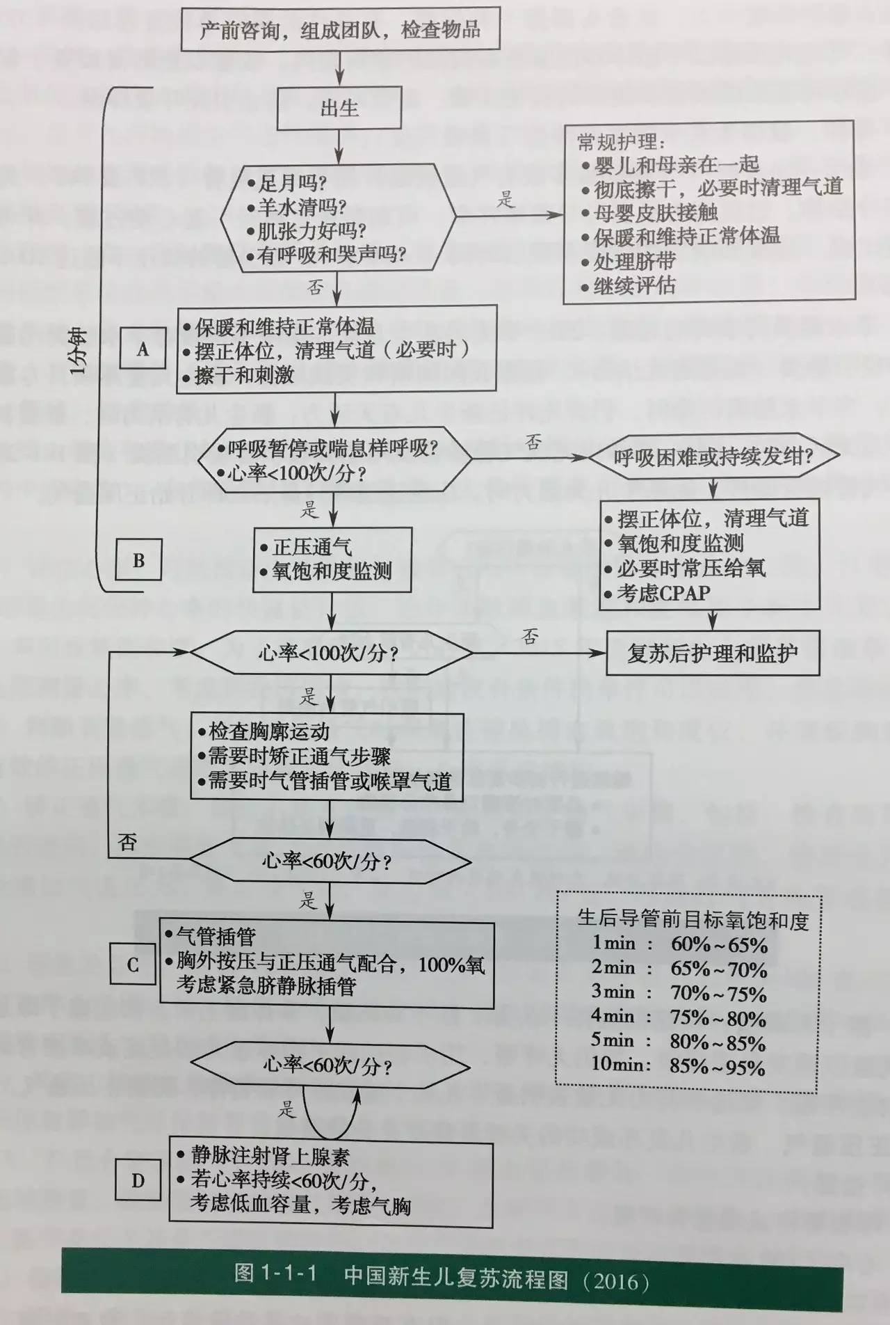 新生儿复苏流程图2021图片