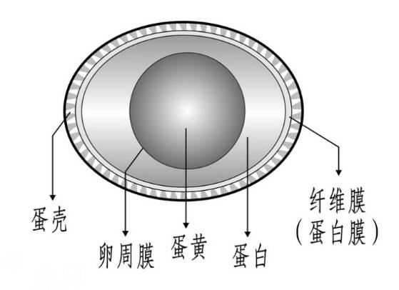 弋阳又一特色