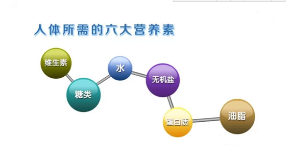 蛋白质过多会中毒或死亡?赶紧吃个鸡蛋补充蛋白质