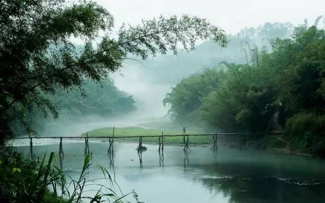 竹林深處,好清涼