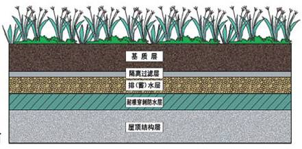 屋顶绿化构造层自建筑屋顶上依次为 三