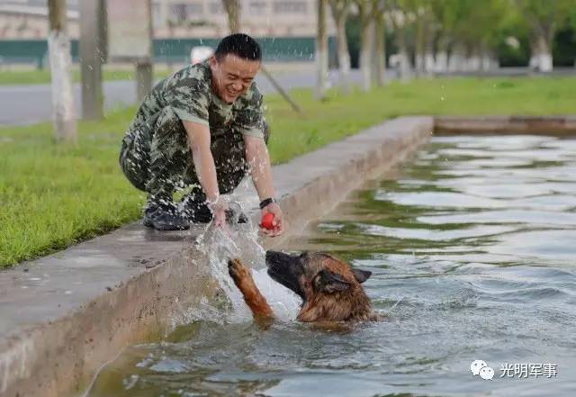 重庆武警七支队张开健图片