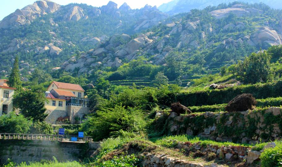 青岛黄山村图片