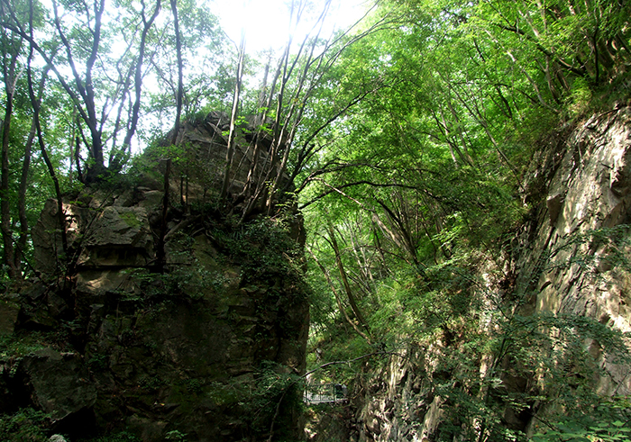 盛夏避暑哪里去,周至田峪河四十里峡奇趣无穷