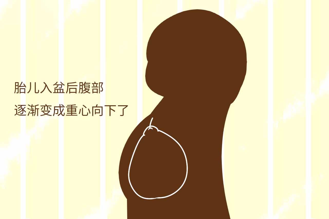 孕晚期入盆的肚型图片图片