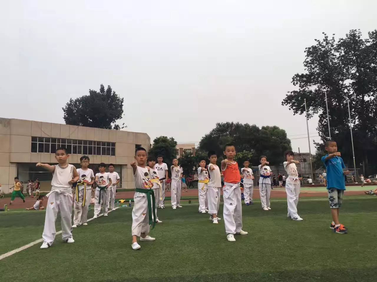 1 武术运动 对中小学生