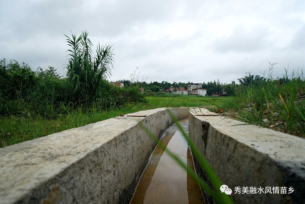 木迎屯水渠一角,遠處就是農田和村莊.