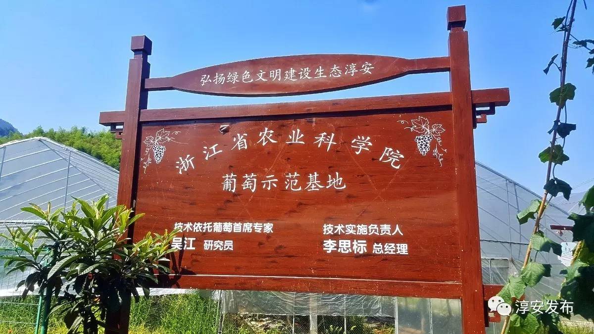 淳安下姜村红色景点图片