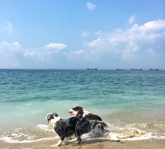 深圳官湖角幾乎可以讓人消除所有疲憊大海神秘的治癒能力潮汐漲退一直