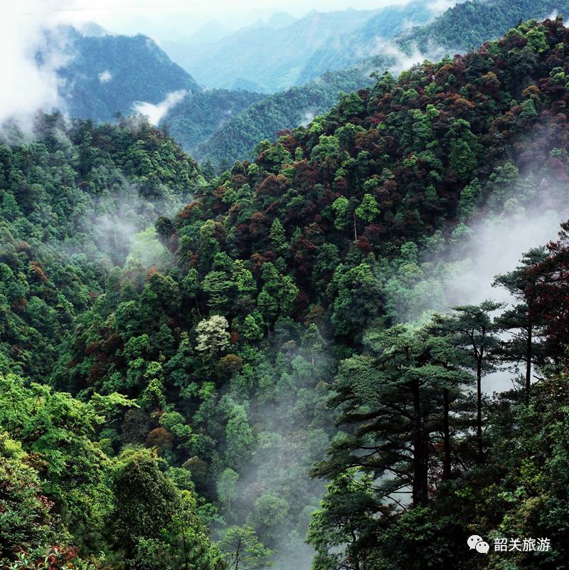 广东原始森林无人区图片