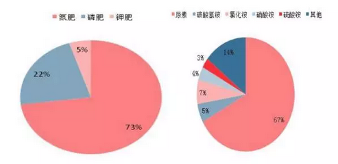 基础化肥结构与氮肥行业品种结构