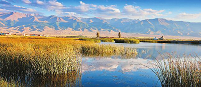 高家湖湿地公园美景