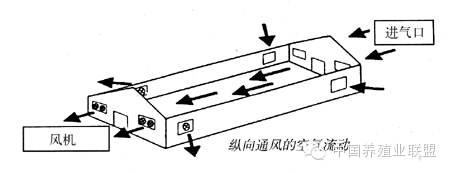 任何使用排风扇的鸡舍都是利用负压原理进行通风换气.