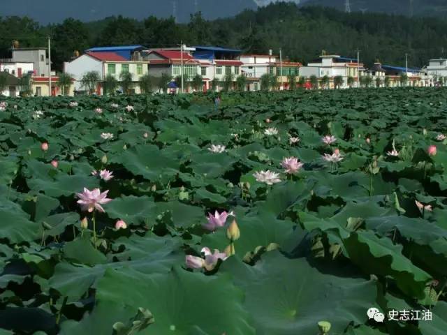 四川江油武都镇图片