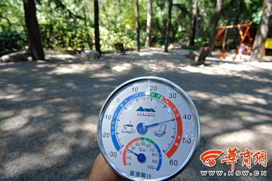 西安各处树荫道路温度大比拼比硬化路面低十多度