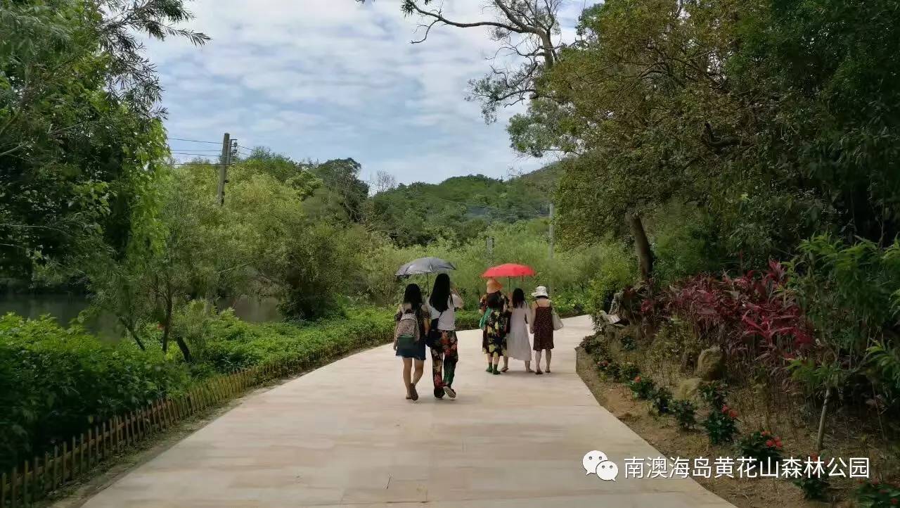 森林旅游正成为另一大亮点,在南澳黄花山海岛国家森林公园,上岛享受"