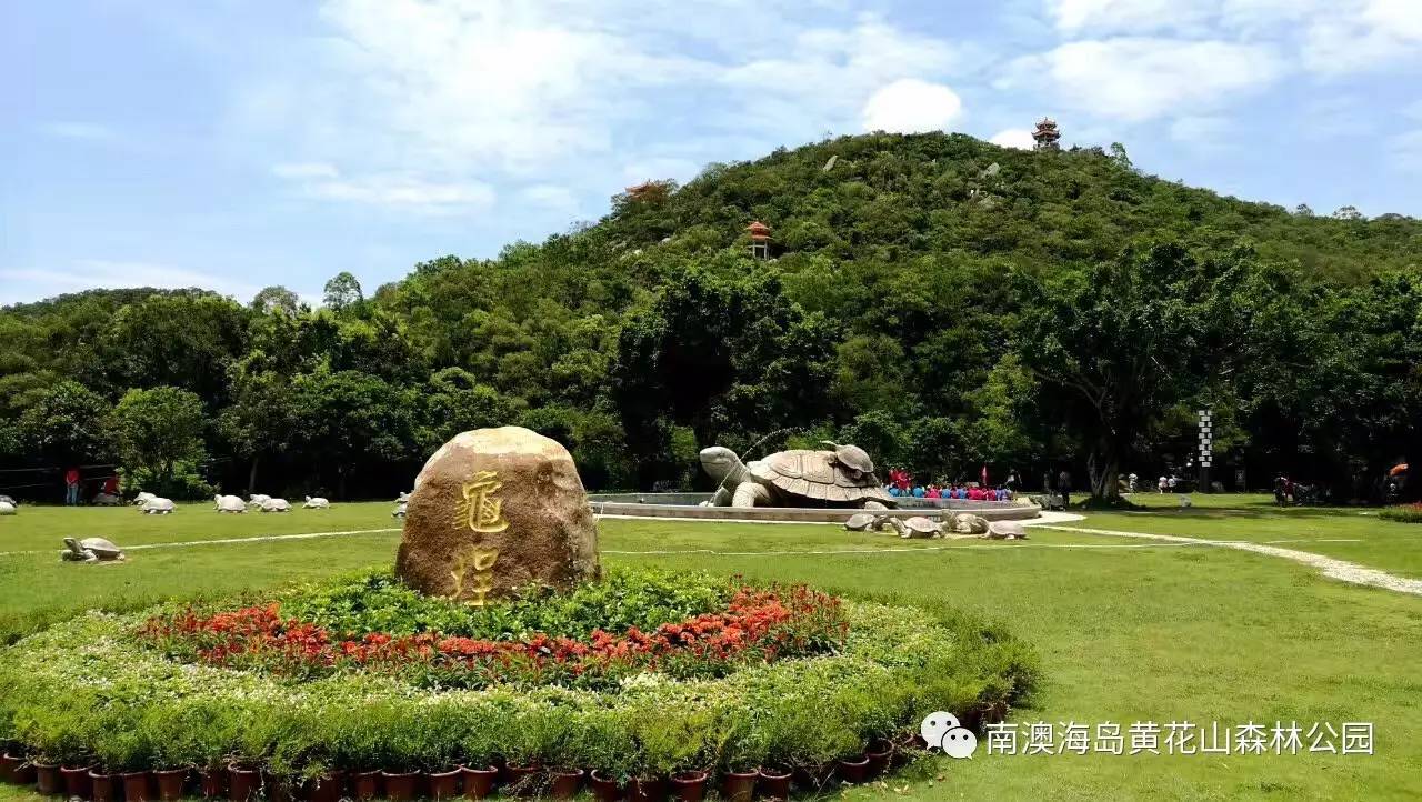 森林旅游正成为另一大亮点,在南澳黄花山海岛国家森林公园,上岛享受"