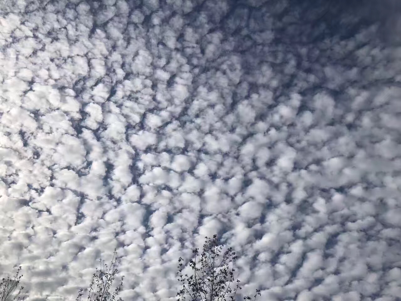 辐辏状高积云图片