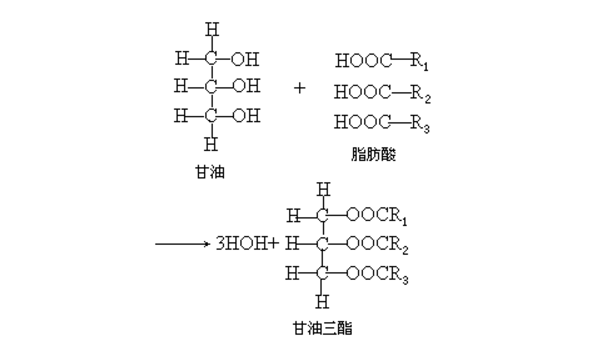甘油二酯结构式图片
