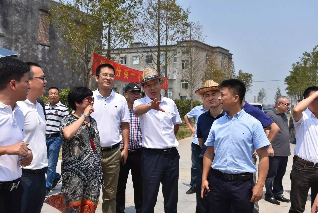 县长郑建忠查看龙港农村垃圾分类建设项目 对龙港美丽乡村生态线打造