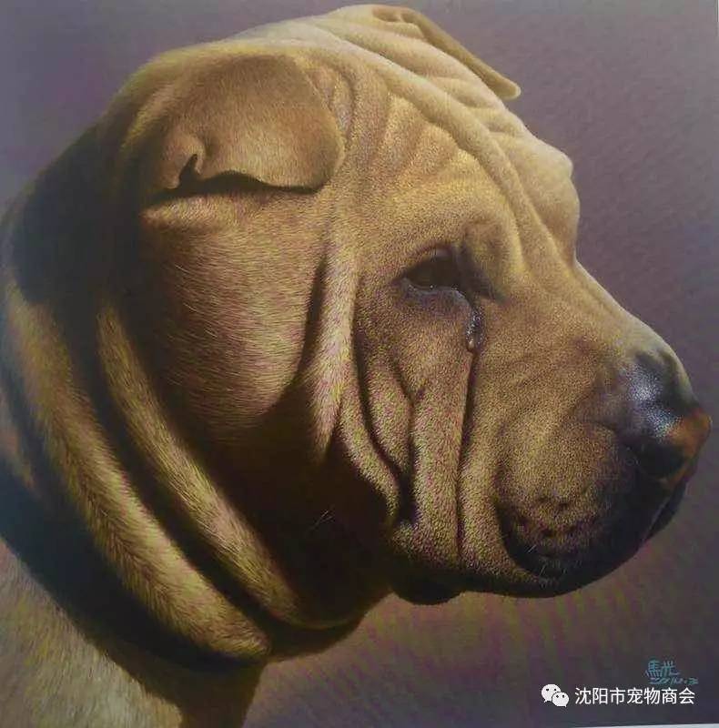 中国画狗第一人马光图片