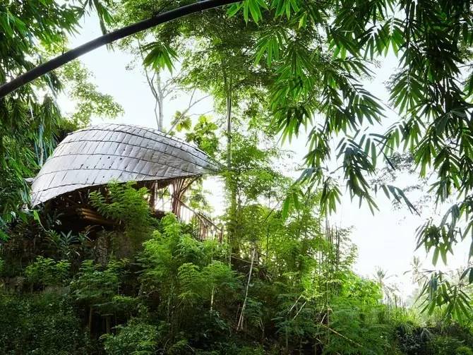 巴厘岛竹子别墅图片