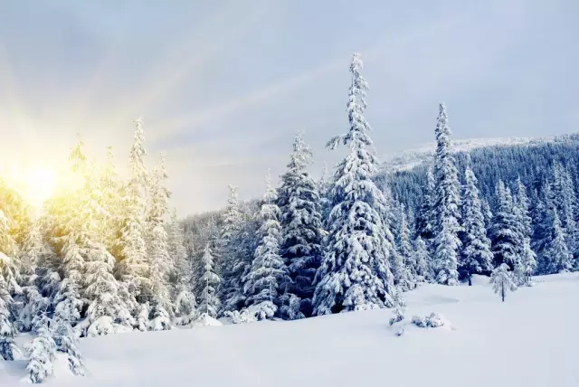 长野县白马滑雪之旅(附无完税办理日本多次签证)