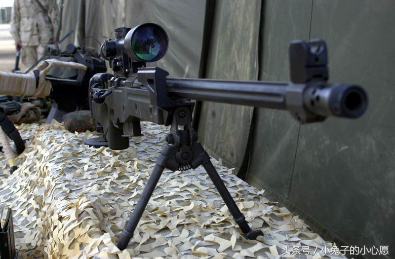 M96卡宾枪图片