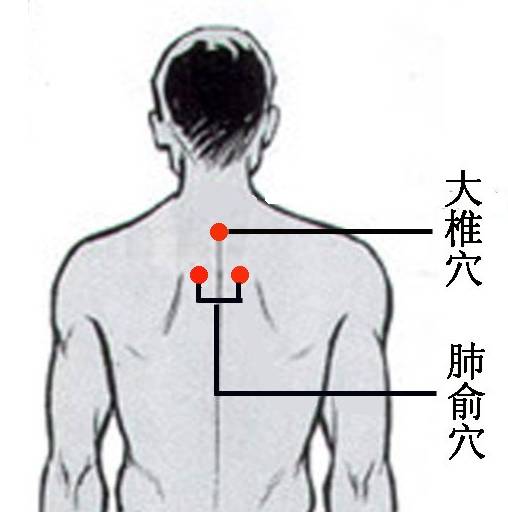 手臂肺经的准确位置图图片