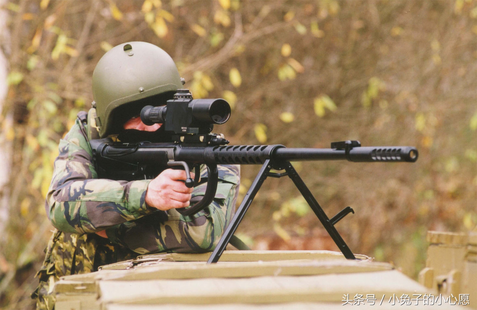 m96步枪图片