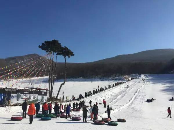 白城市镇西滑雪场图片