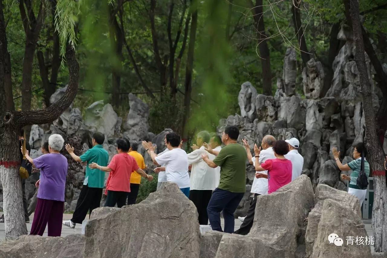 一直以为呼市老年人只是跳广场舞而已,今天才知道,我比他们更老