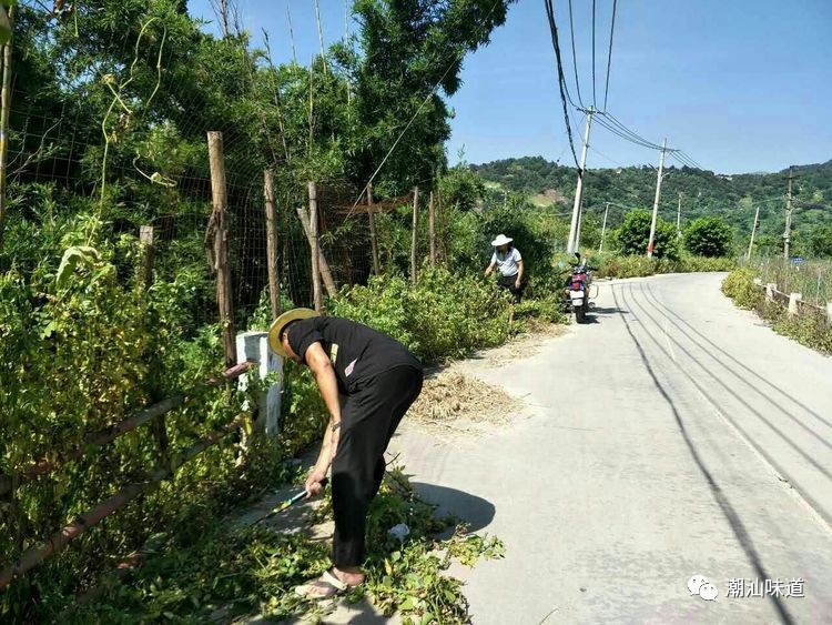 谷饶镇新寮村图片