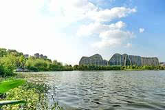 杭州滨江区白马湖图片