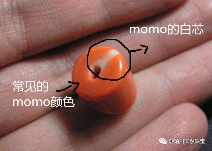 momo里面最出名的就是天使肌红珊瑚了