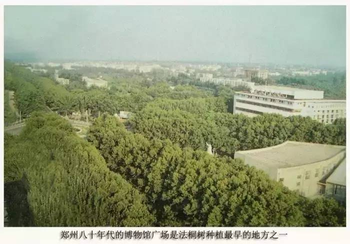 年的郑州市体育场▲1956年的郑州市人民公园▲1958 年的郑州市老坟岗
