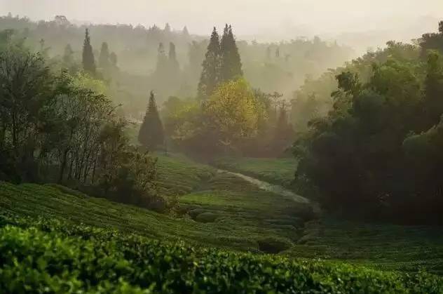 萤火虫是什么季节的时候才有