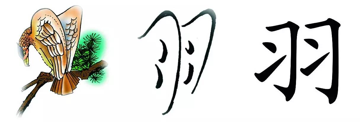 【每日一字】羽:羽扇纶巾