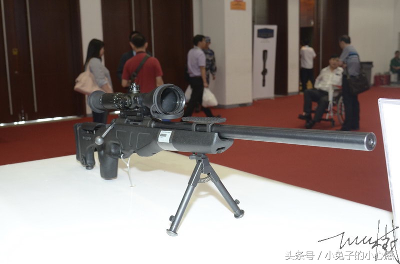 祁厅长同款 中国cs/lr4狙击步枪 别称26式